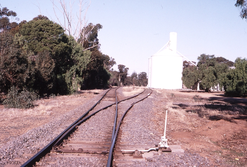 119897: Kurting Looking towards Melbourne