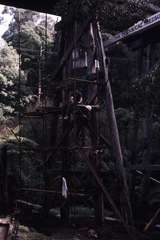 119910: Monbulk Creek Trestle