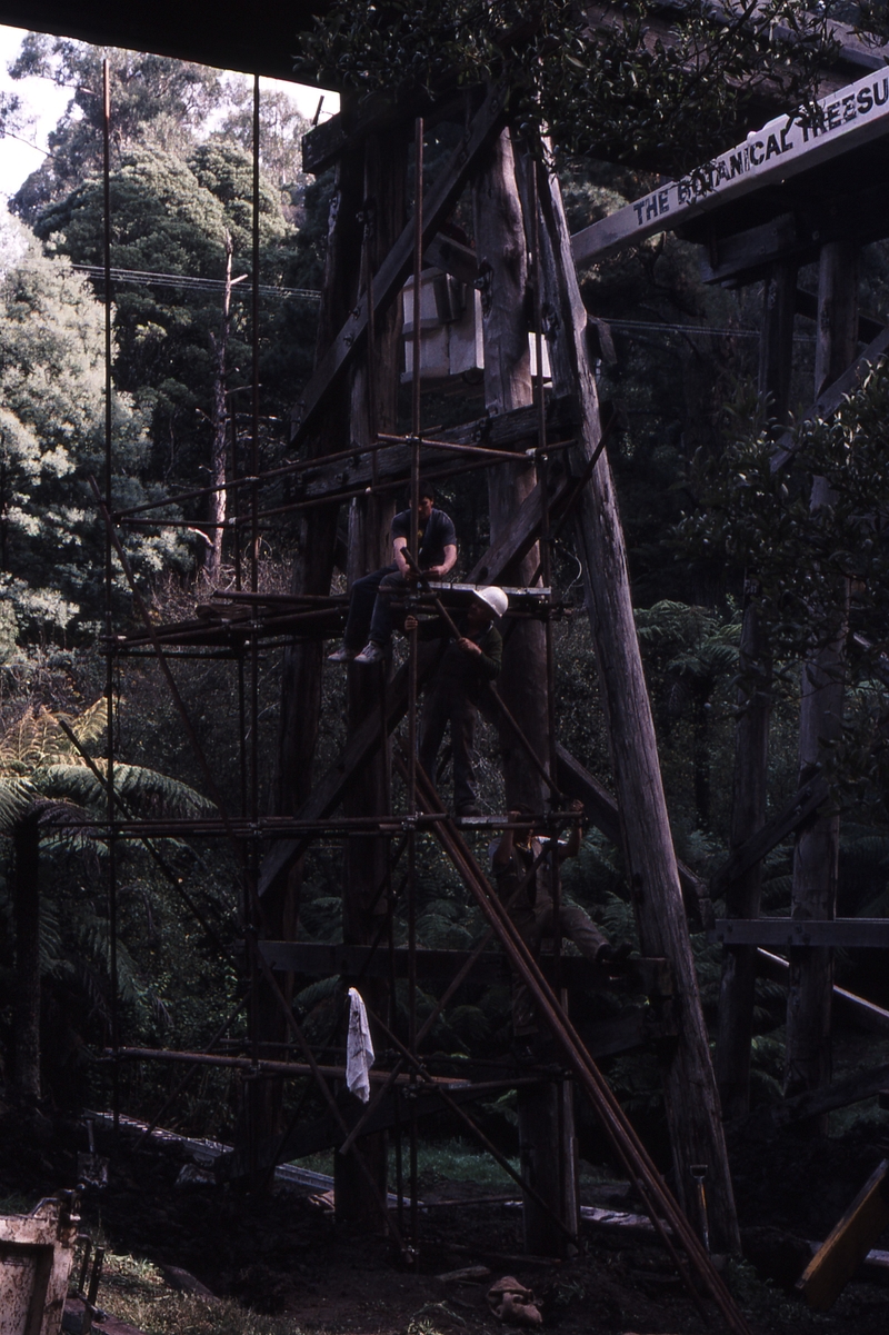 119910: Monbulk Creek Trestle