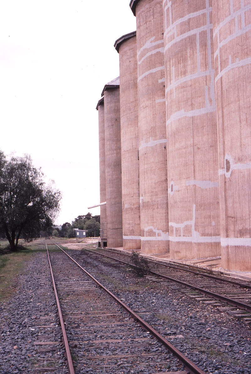 119968: Balldale Looking towards Culcairn