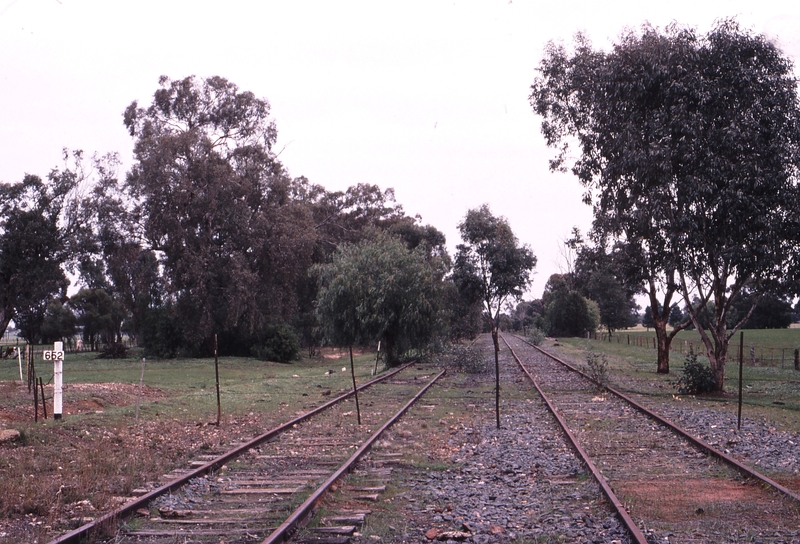 119969: Balldale km 652 Looking towards Corowa