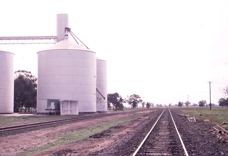 119980: Rennie Looking towards Oaklands