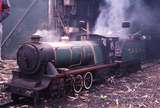 119983: Corowa Miniature Railway 305 mm gauge CABR 550 4-6-2
