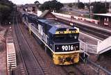 120021: Waratah Down Coal Empty 9016 9029