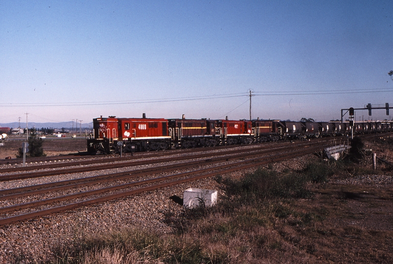 120049: Maitland Up Coal From Pelton 4860 4870 4872 4871