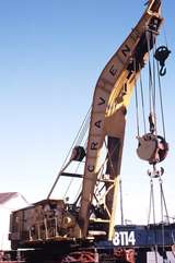120236: Delec Open Day Cravens Crane