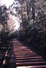 120369: Cockatoo - Cockatoo Creek Section Looking West towards East TP Curve 87L