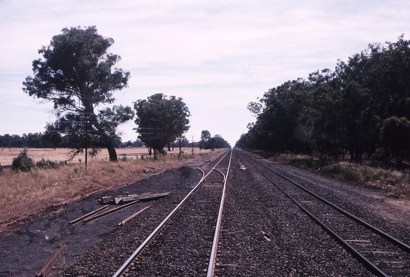 120575: Riggs Creek Loop Melbourne End near km 166.7 Looking towards Albury