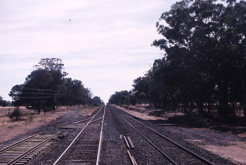 120576: Riggs Creek Loop Albury End km 167.7 Looking towards Albury