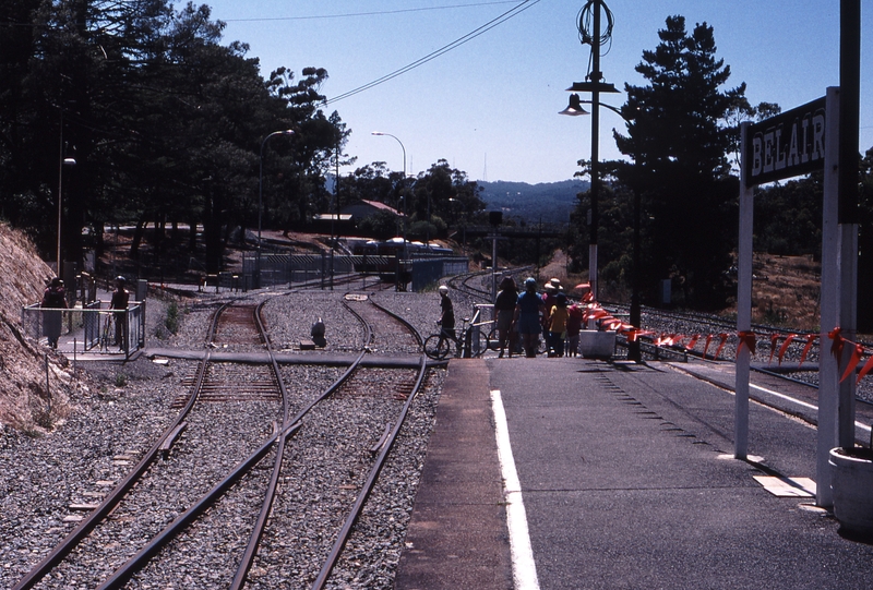 120726: Belair Looking East