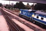 121054: Mildura 8194 Up Special Passenger T 369