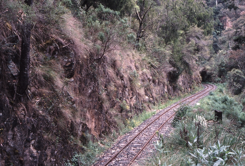 121194: Cascade Halt Looking South from South End