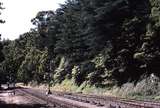 121377: Mount Lofty Looking towards Adelaide