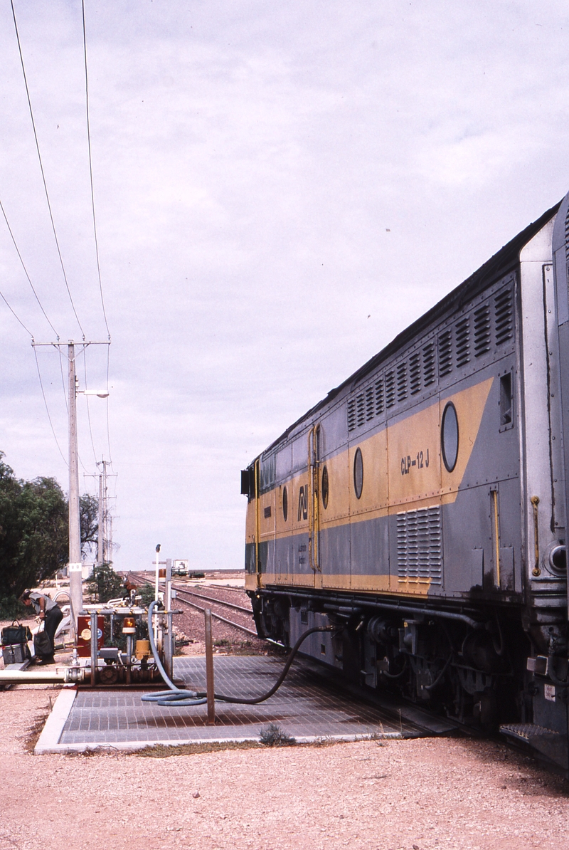 121384: Cook Westbound Indian Pacific CLP 12