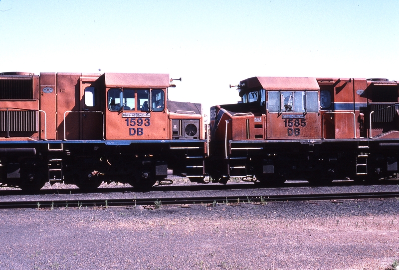 121473: Picton Locomotive Depot DB 1593 DB 1585