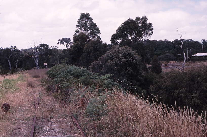 121526: Northcliffe Timber Mill up side Looking towards End of Track