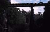 121532: Warren River Bridge km 179.5 Viewed from West Side Looking East