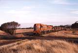 121662: Musesk Up Grain Train DA 1574 AA 1516