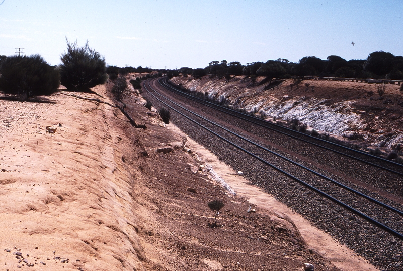 121677: Wallaroo Looking West