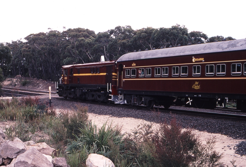 121797: Summit Tank Down Cockatoo Run 4833