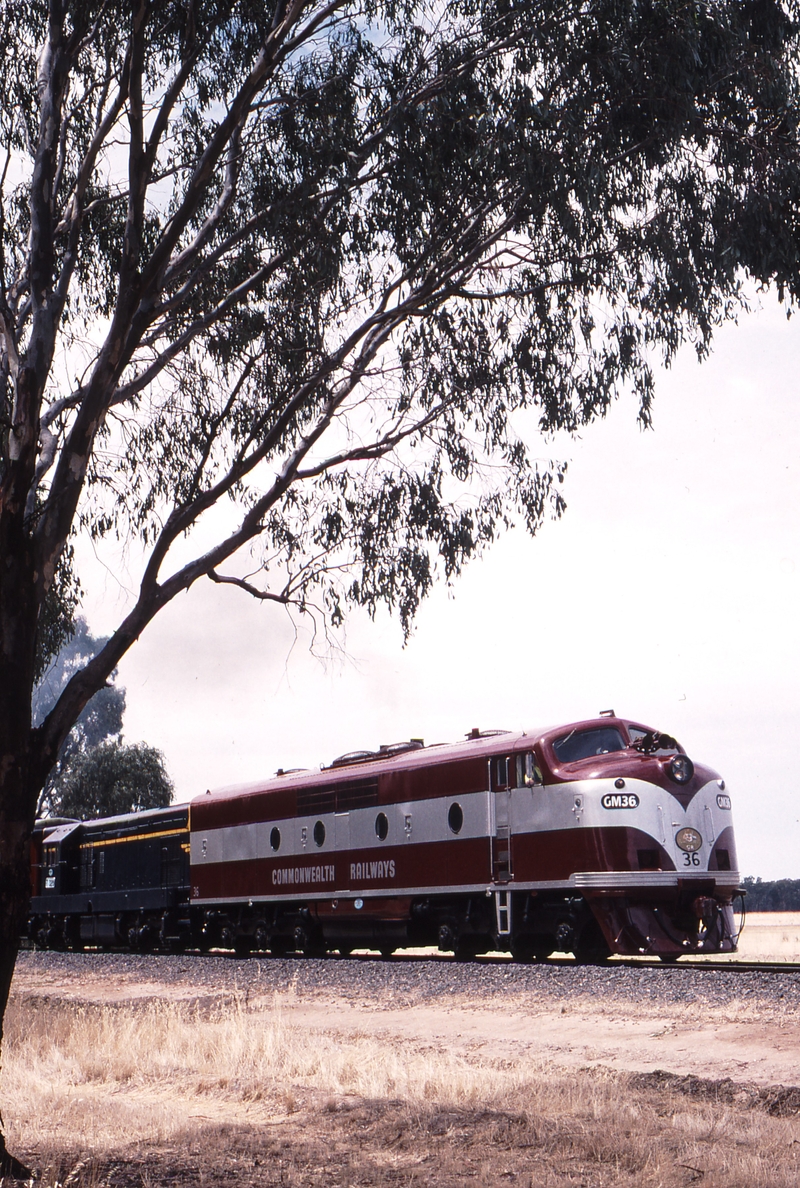 121882: Level Crossing km 247.5 Tocumwal Line 8394 Up ARE Special GM 36 T 320