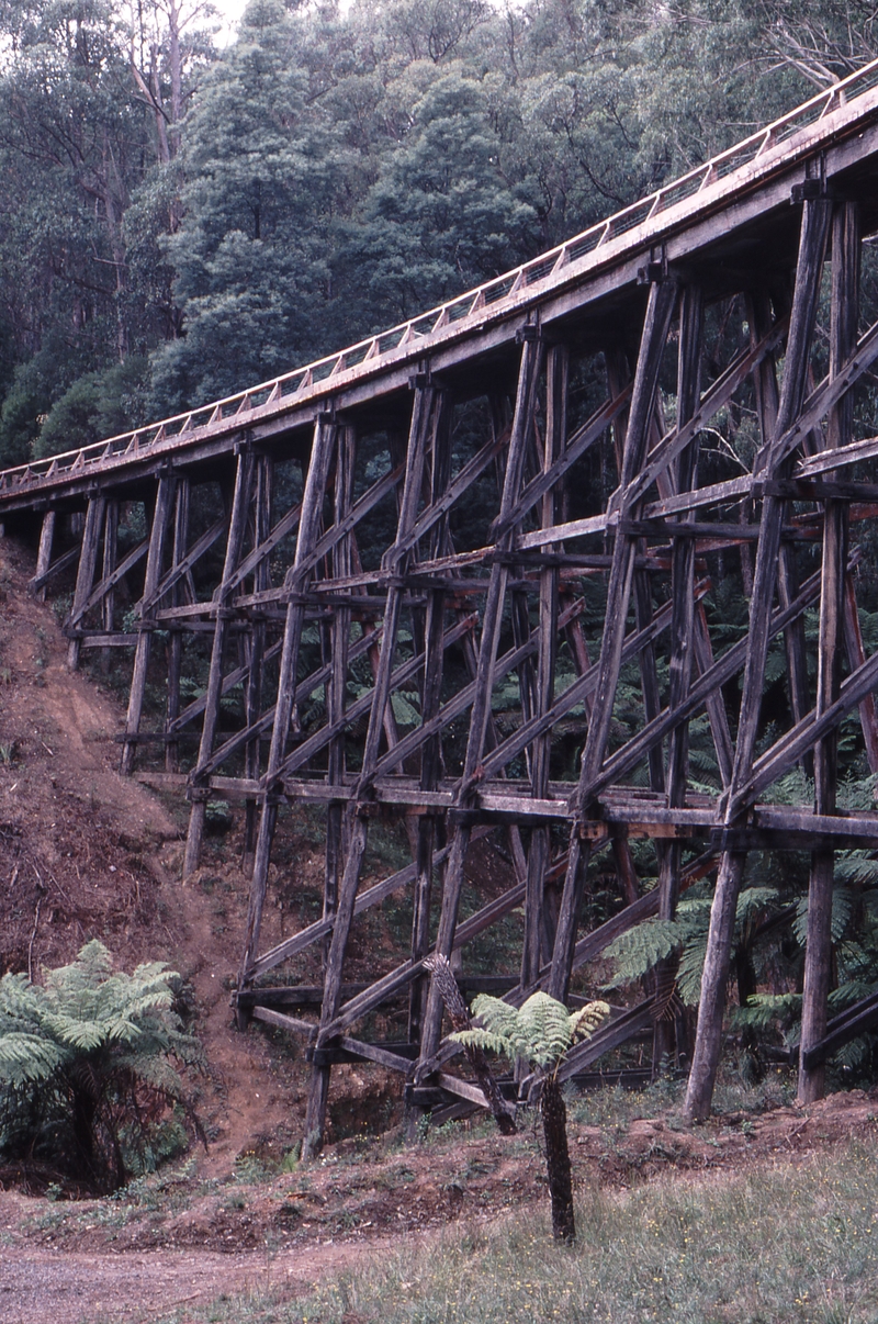 121931: Trestle Bridge Mile 88 Noojee Line Looking towards Noojee