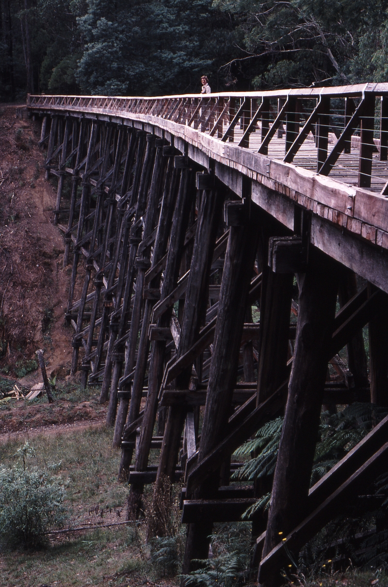 121932: Trestle Bridge Mile 88 Noojee Line Looking towards Noojee