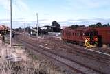 121951: Korumburra Red Hen 402