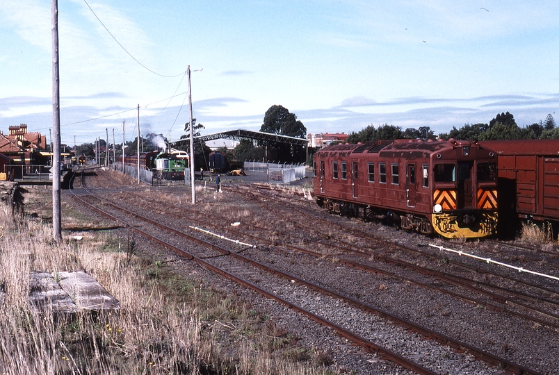 121951: Korumburra Red Hen 402