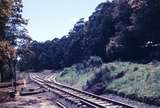 121978: Cockatoo Looking towards Belgrave