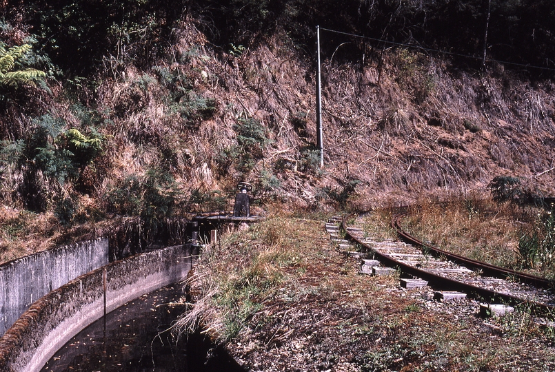 122149: Bogong Tramway First Weir looking downstream