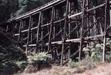 122207: Mile 88 Noojee Line Trestle Bridge looking North