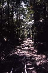 122283: Coal Creek Historic Park In section looking towards Top Station