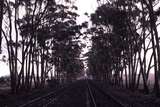 122358: Vite Vite Loop Looking towards Ararat