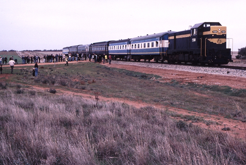 122385: Woorinen - Pira km 361 8093 Down Steamrail Special T 364