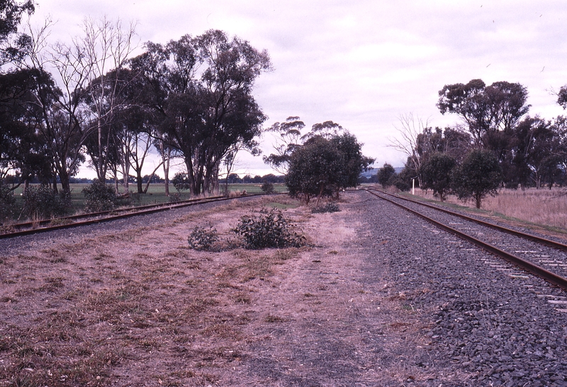 122437: Pine Lodge Looking towards Dookie