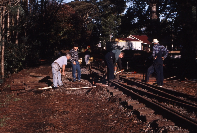 122477: Gembrook Gang assembling turnout at East end of No 1 and No 2 Roads