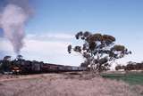 122527: Nandaly down side km 450 8091 Down Steamrail Special R 761