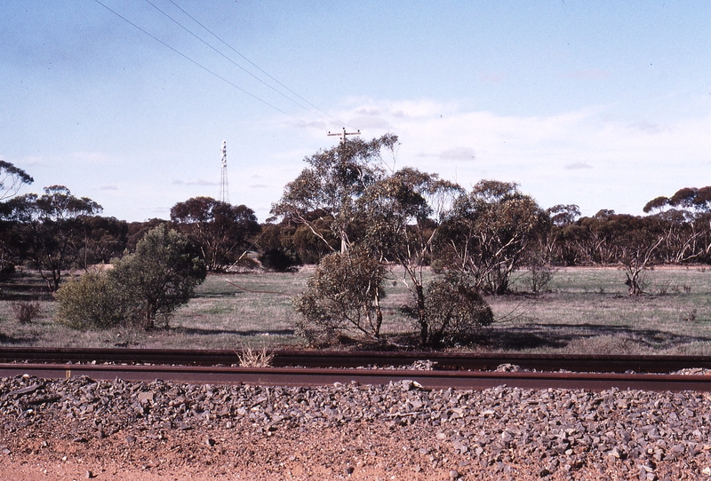 122544: Kulwin End of Track Looking West to East across line