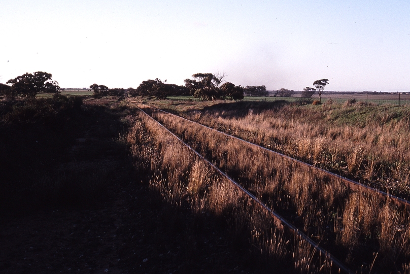 122556: km 444 6 Kulwin Line looking North