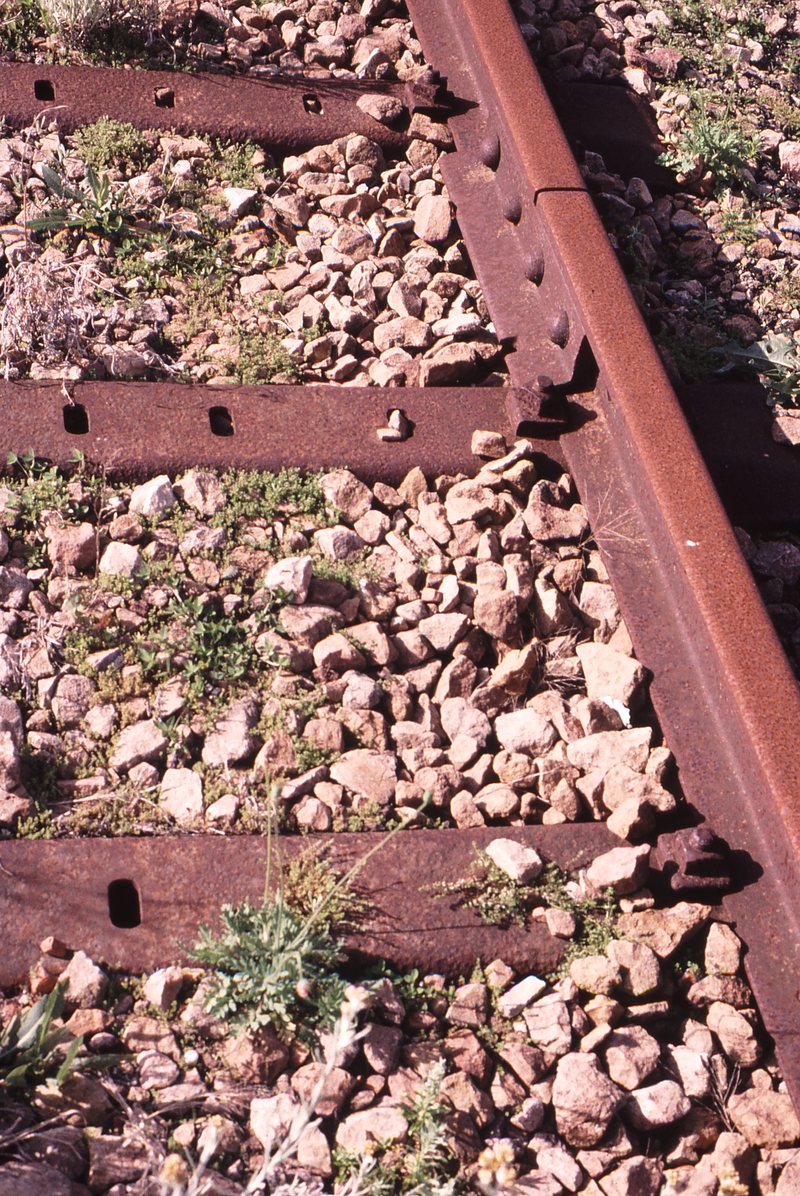 122692: Penola Triple Punched Steel Sleepers in Siding