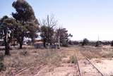 122849: Orroroo North end of Yard looking North