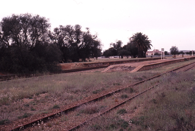 122878: Terowie looking South from South end of passenger platform