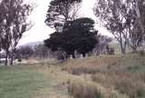 122905: Cheviot looking towards Mansfield