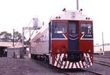 123019: Traralgon Bluebird Trailer 811 (107 'Mopoke'),