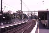 123043: Surrey Hills looking towards Box Hill along down and centre tracks