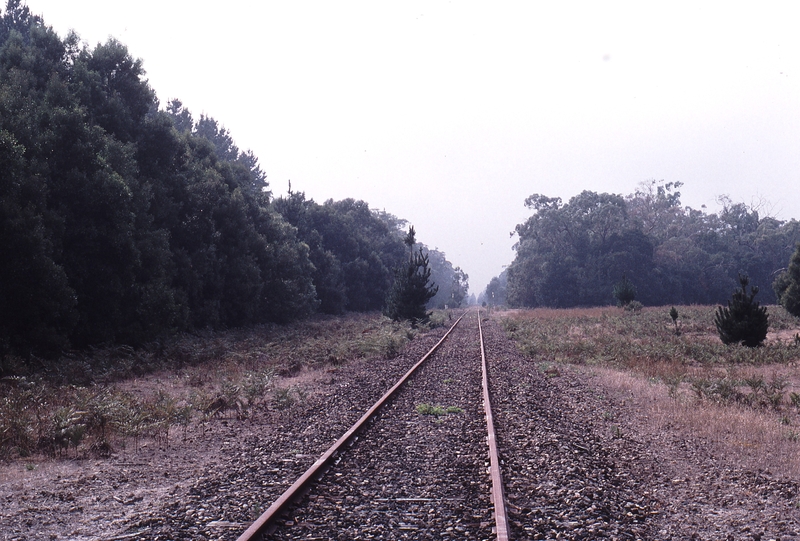 123283: Rennick (down side), Looking East towards station site from Victorian and South Australian Border