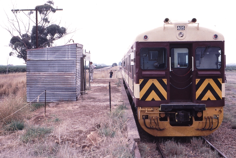 123298: Coonawarra Southbound RTA Special 405 (334),