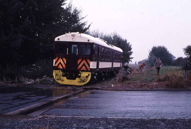 123315: Millicent Approach Level Crossing RTA Special 334