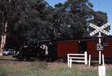 123336: Clematis (up side), Main Road Level Crossing 12:10pm Gembrook Passenger 8A